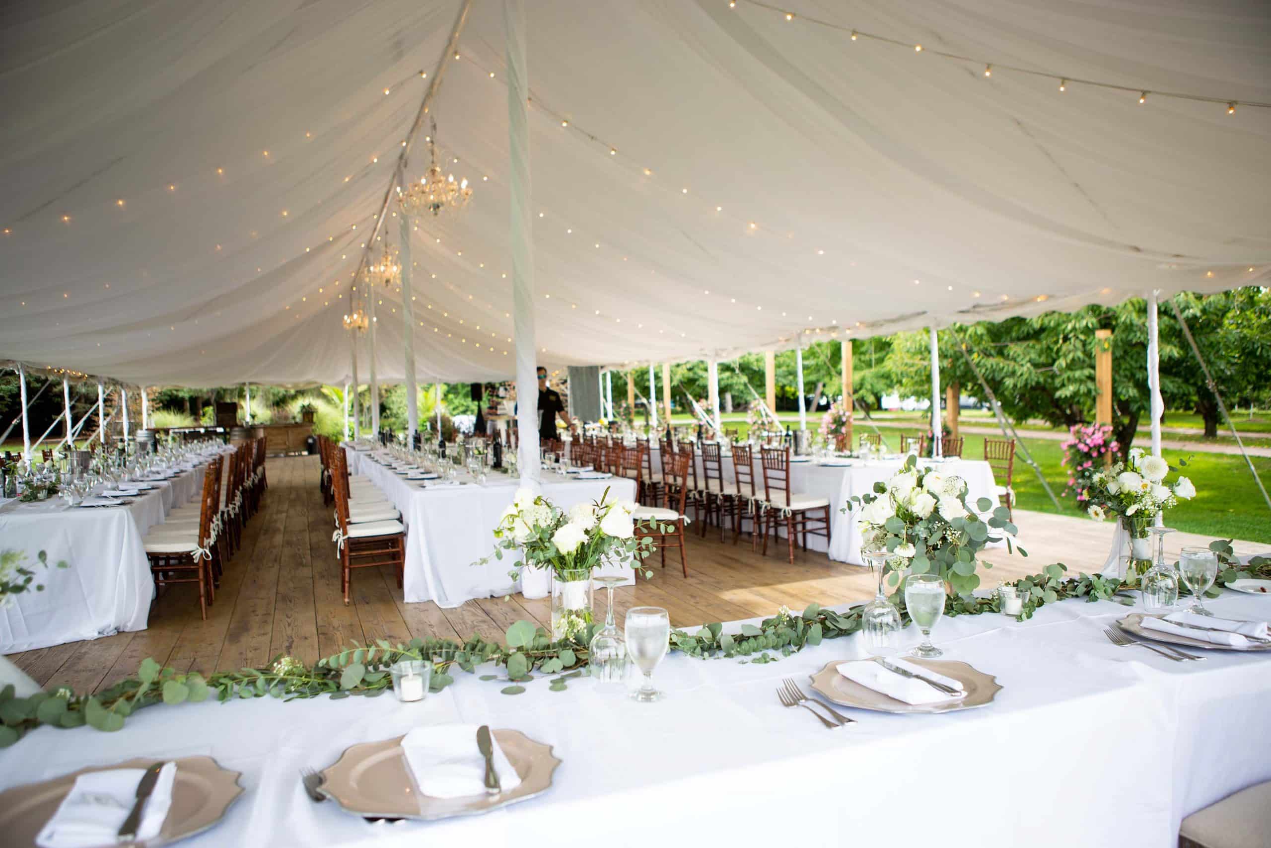 Outdoor Wedding Reception