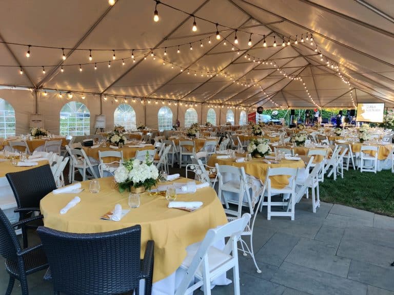 Image Gallery Ann's Party Rentals